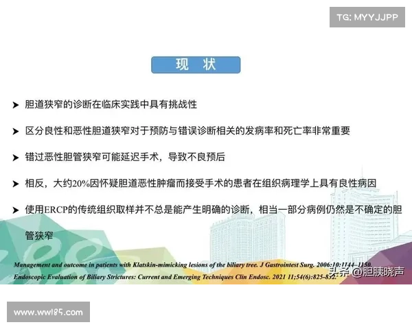 绕胆组织结构与功能研究及其在临床医学中的应用探讨 绕胆组织结构与功能研究及其在临床医学中的应用探讨